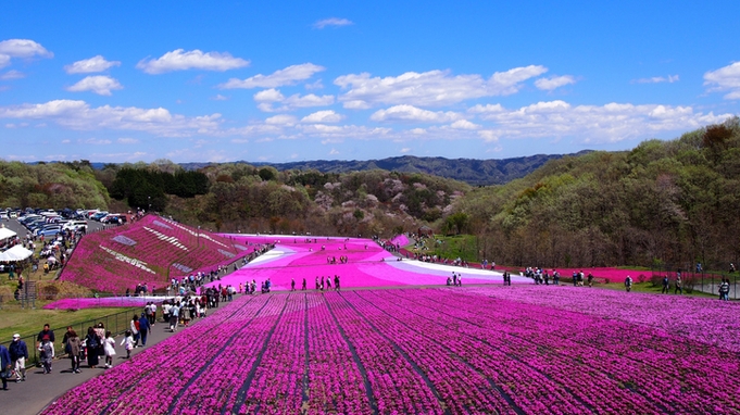 【復活☆半日観光ツアー】市貝町芝ざくら公園芝ざくら観賞ツアー付きプラン＜お食事はバイキング＞